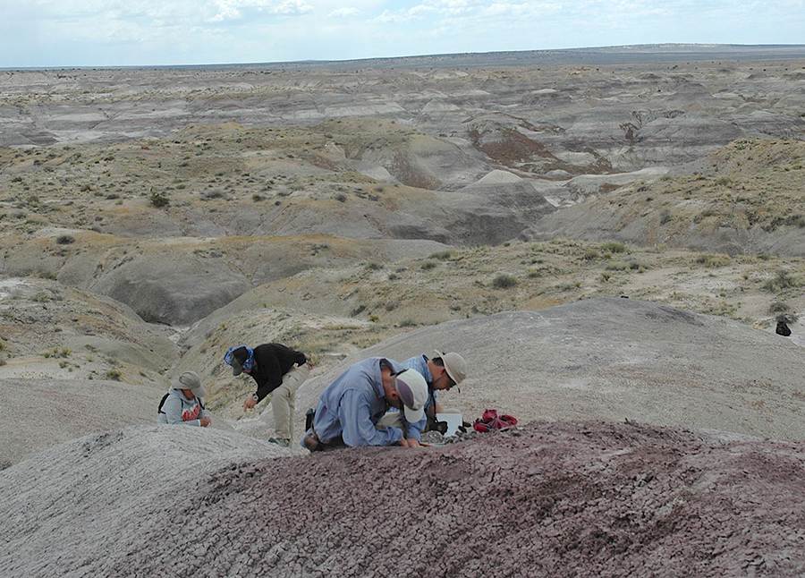 researchers digging at a site in new mexico