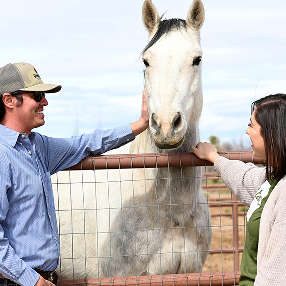 a man and a woman standing on either side of a white horse