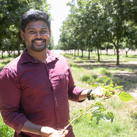 a man standing in a field of trees holding a branch with leaves