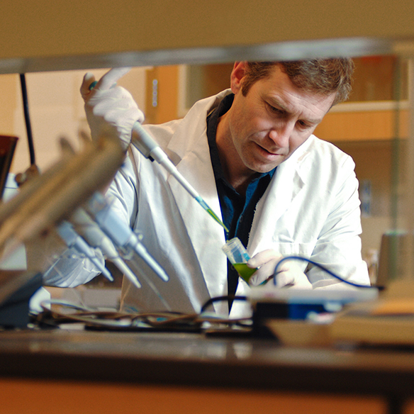 A biology professor works in his lab.
