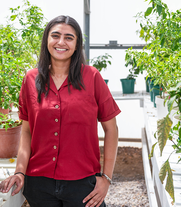 Navdeep Kaur a graduate student in the college of Agricultural Consumer and Environmental Sciences. 