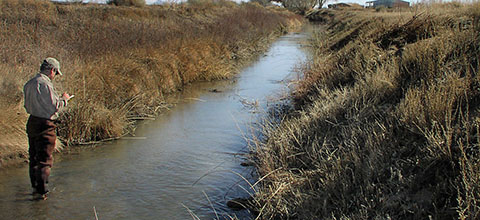 A man stands in a river taking down notes.