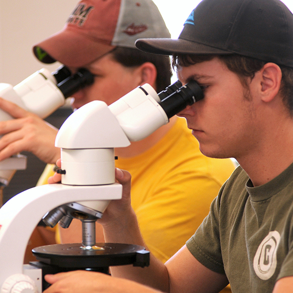 A male student looking at a rock sample through a microscope. 