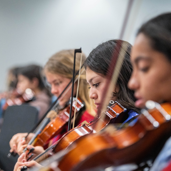 The Las Cruces International Mariachi Conference.