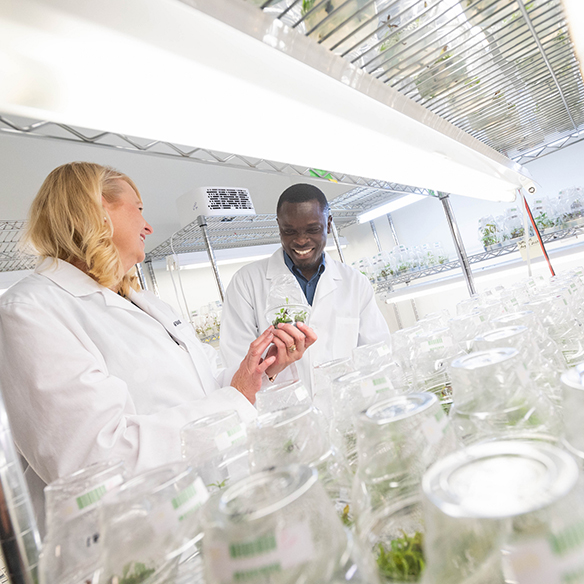a man and woman talking about plants in individual plastic cups 