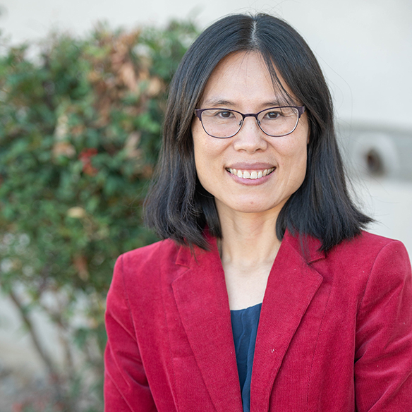 Huiping Cao, professor of computer science.