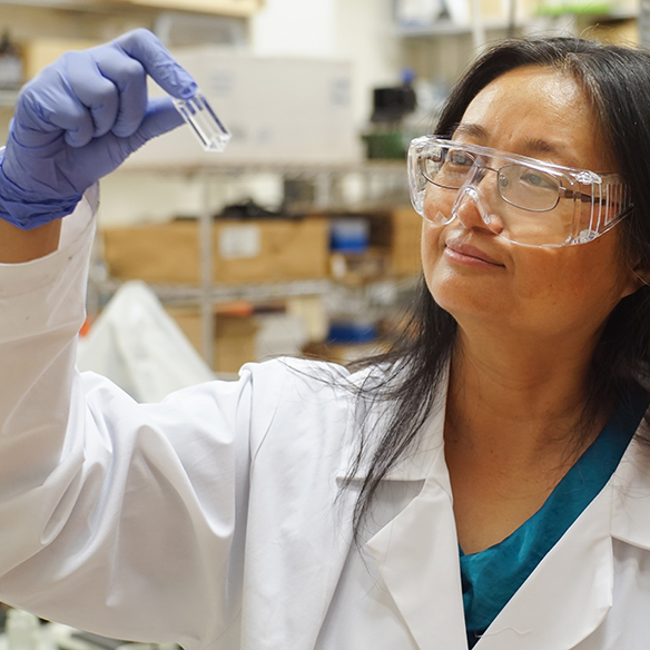  Pei Xu, PESCO Endowed Professor and Ward Family Endowed Interdisciplinary Chair in Civil Engineering and consortium research director