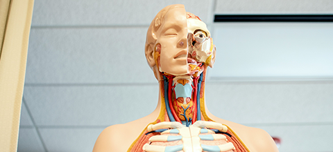 Art supplies on a table