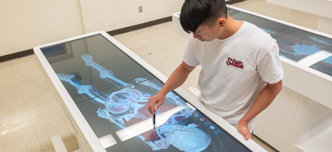 Students showcasing new technology for Kinesiology majors in Anatomy and Physiology class. 