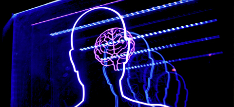 A computer display showing the outline of a body and the brain