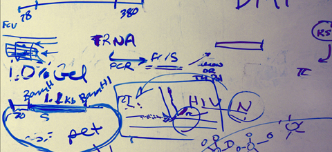 biochemistry equation