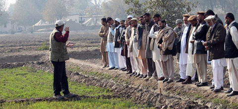 Hamdy Oushy, associate professor in NMSU’s Department of Agricultural Economics and Agricultural Business, leads a recent farm resource management workshop in Jalalabad, Afghanistan.