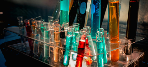 test tubes filled with colored liquid