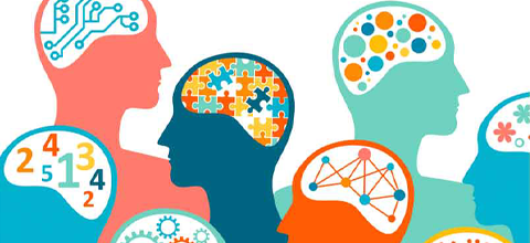 An illustration of a head with different brains